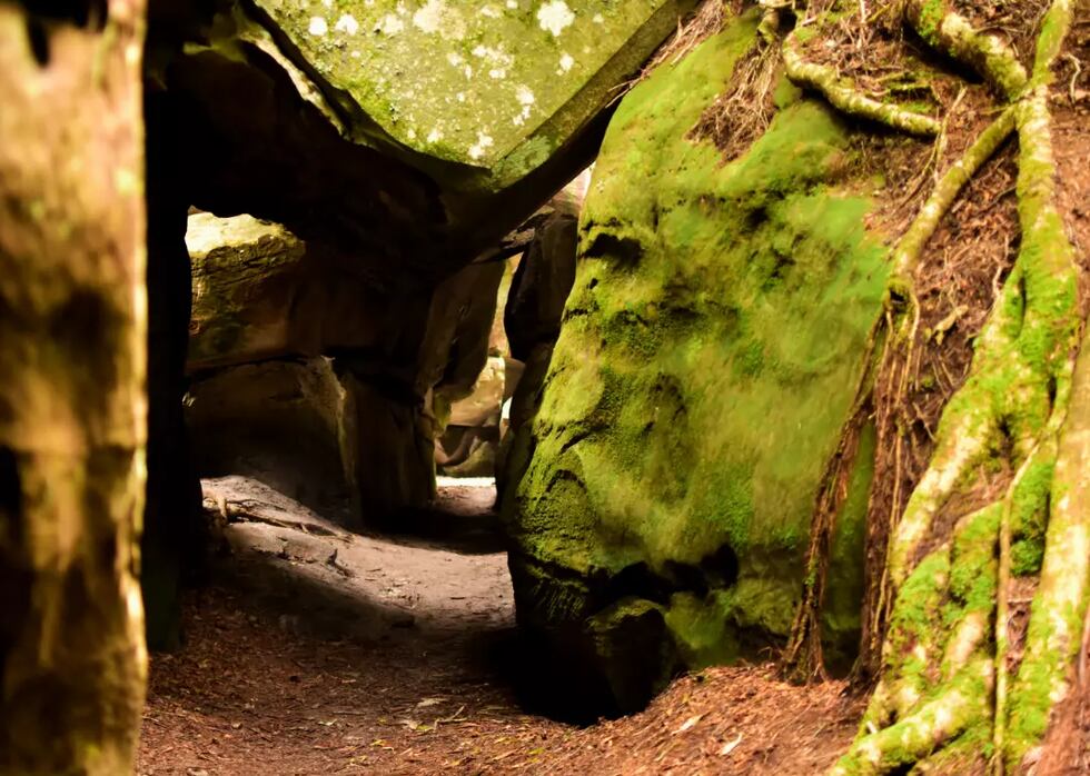 Each state has a secret, hidden wonder!