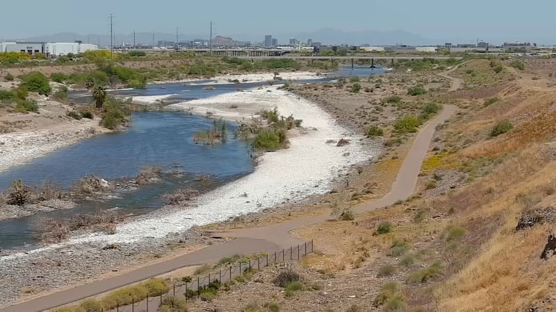 The Salt River in Phoenix.