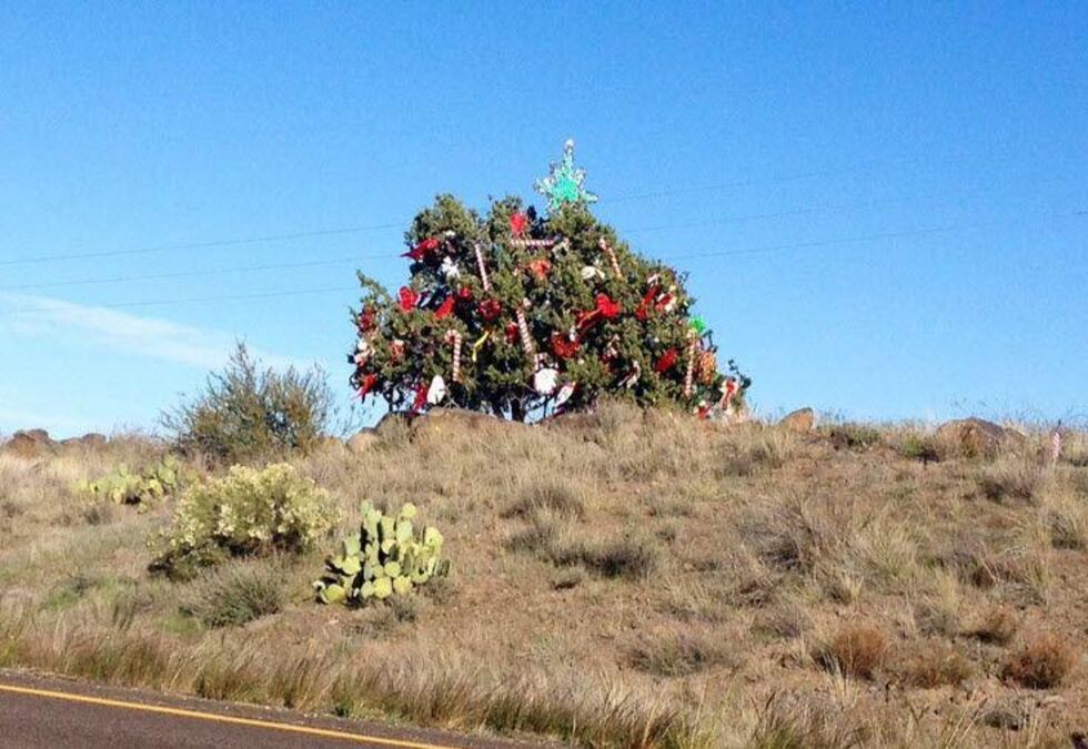 Scrubby the Christmas tree