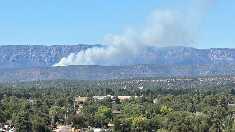 The Arizona State Forestry says the fire is burning through ponderosa, grass and brush.