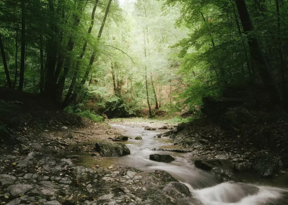 Each state has a secret, hidden wonder!