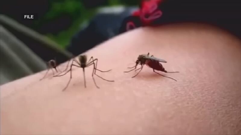 The CDC report showed that Maricopa County had the most cases of the virus than any other...