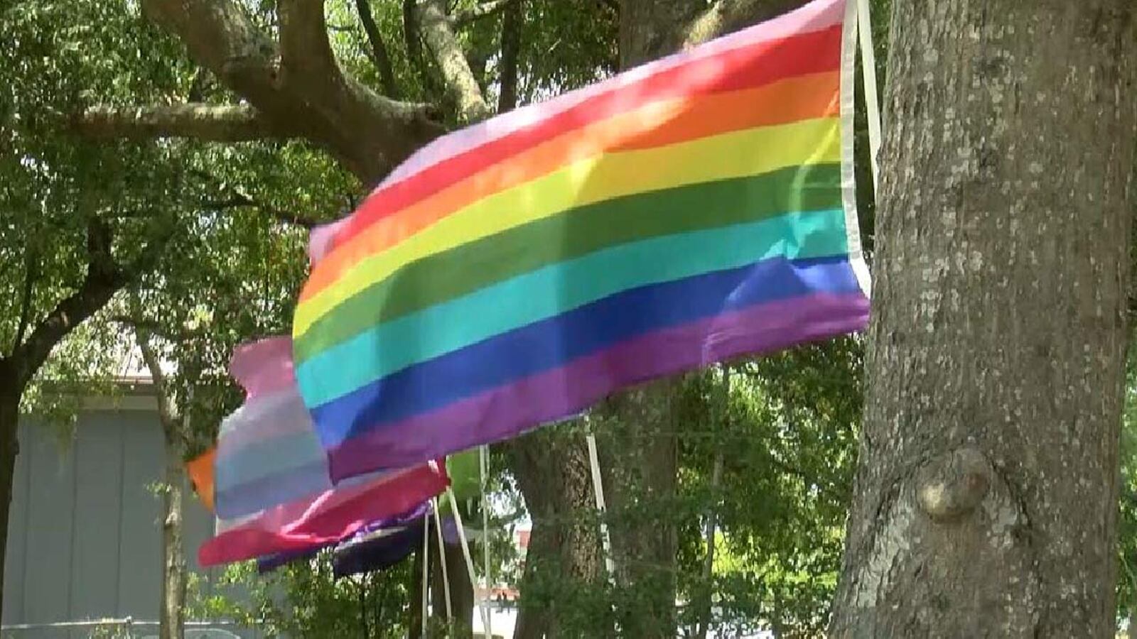 ‘Pride in the Pines’ enters 27th year of celebrating LGBTQ+ community