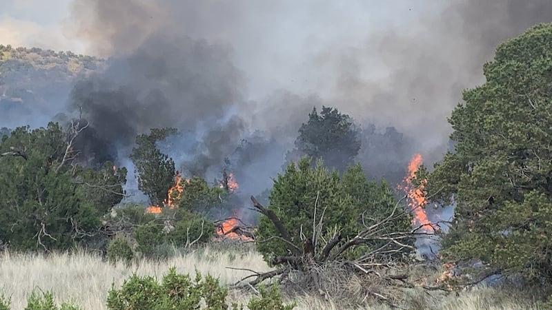 The fire so far is about 25 acres and is burning about 10 miles north of Arizona Snowbowl.