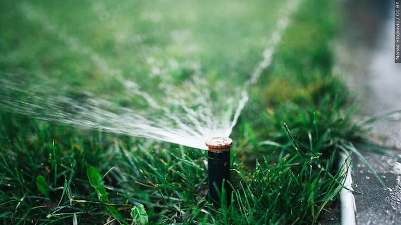 The new Scottsdale city code bans after August 15 any natural grass from the front yard of...