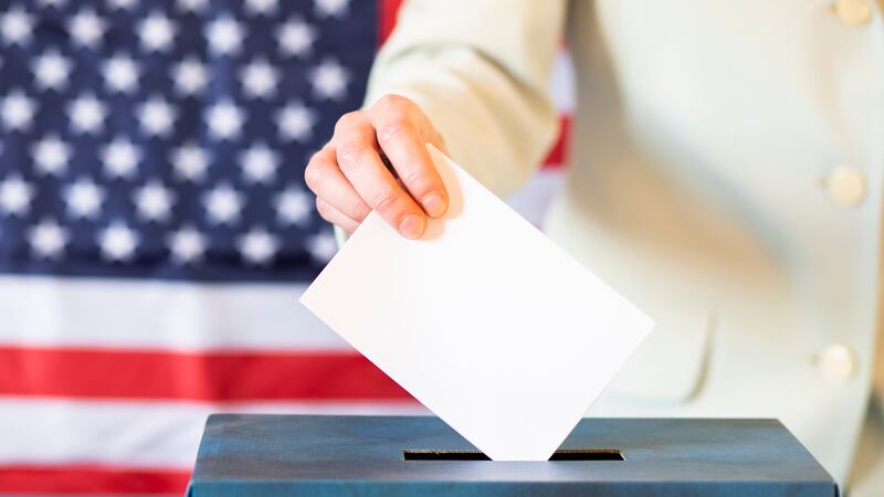 Voter Graphic