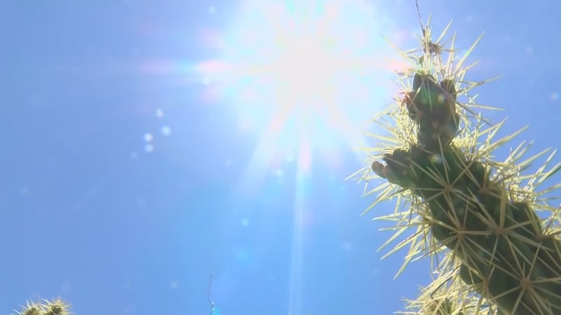 The latest report confirms an additional 87 heat-associated deaths in Maricopa County.