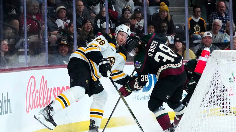 Boston Bruins defenseman Derek Forbort (28) and Arizona Coyotes center Liam O'Brien (38)...