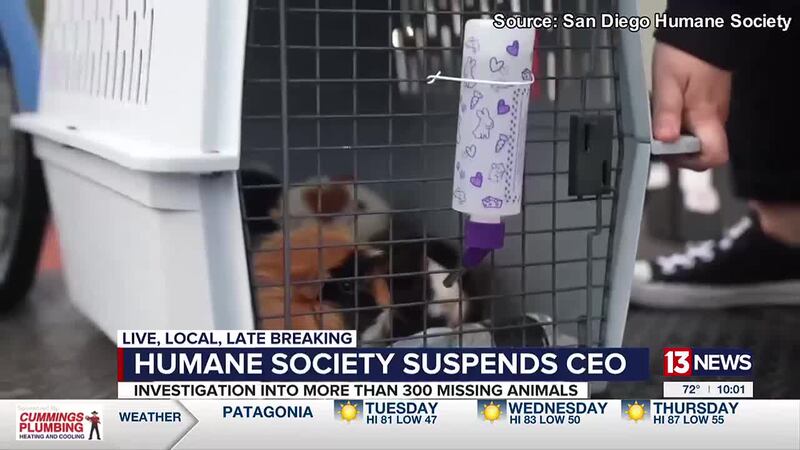 Humane Society of Southern Arizona suspends CEO and CPO amid investigation into a small animal...