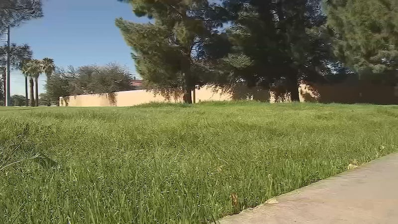 The grass removal rebate is now at $2 per square foot.