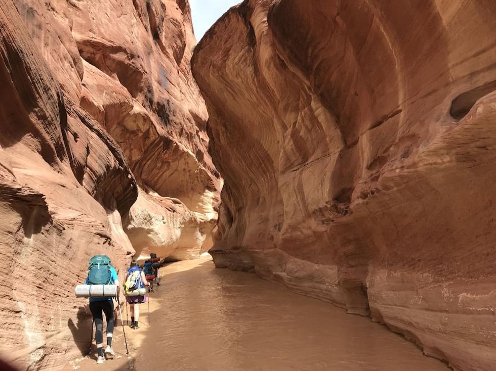 Paria River Canyon (Source: Melissa Ziedy)