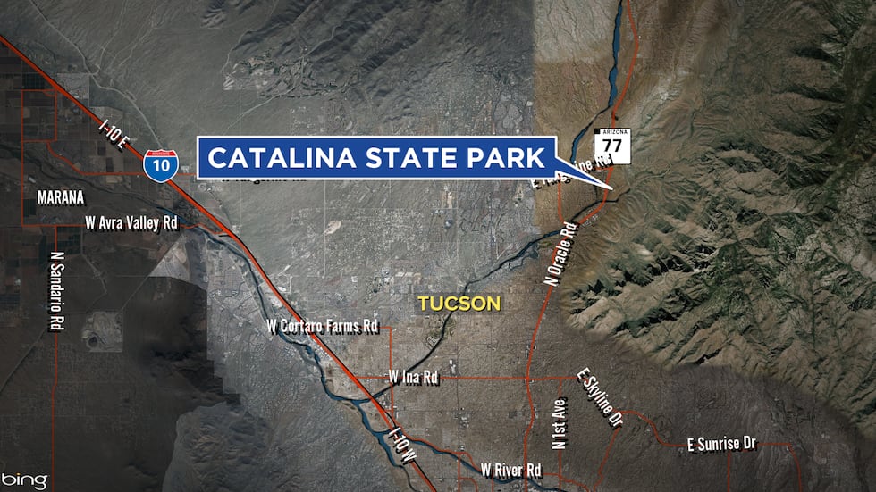 Catalina State Park is located next to the Town of Oro Valley, just north of Tucson.