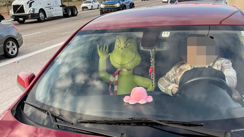 The Grinch was the only passenger inside the car!