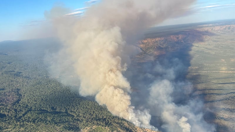 Aerial photo of the Brady Fire, courtesy of the Air Attack team on Monday, Aug. 7, 2023.