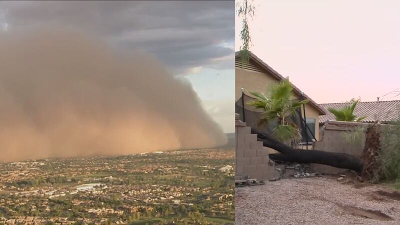 Monsoon 2023 was one for the record books for Phoenix.