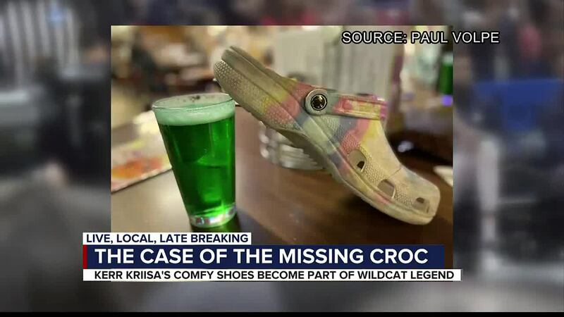 Missing Croc Mystery