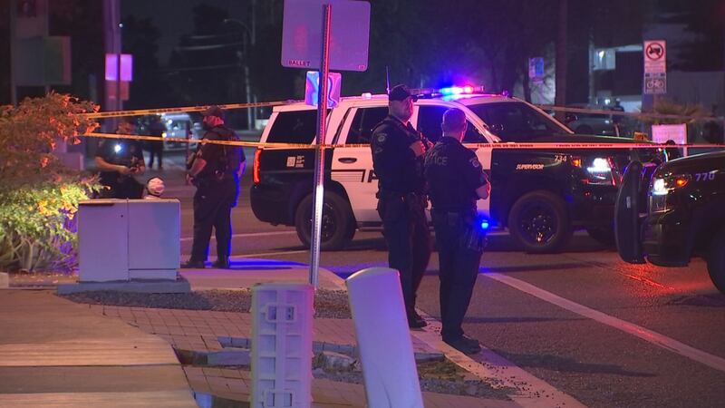 Police say the shooting happened near Terrace and Lemon