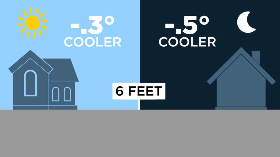 Research from Arizona State University found that six feet off the surface the air temperature...