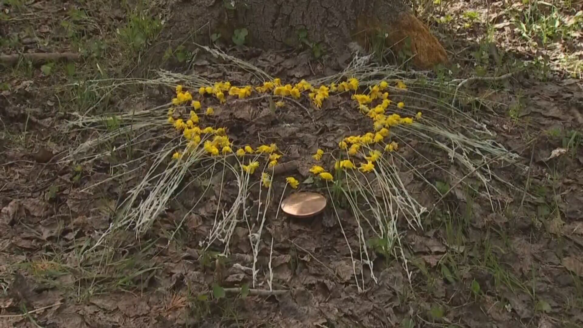 How you can get your ashes buried at a tree outside Flagstaff - Vimarsana News