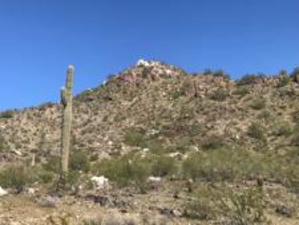 Phoenix Mountain Preserve (Source: Debbie Hendricks)